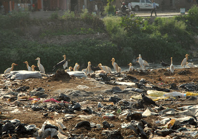 kathmandu